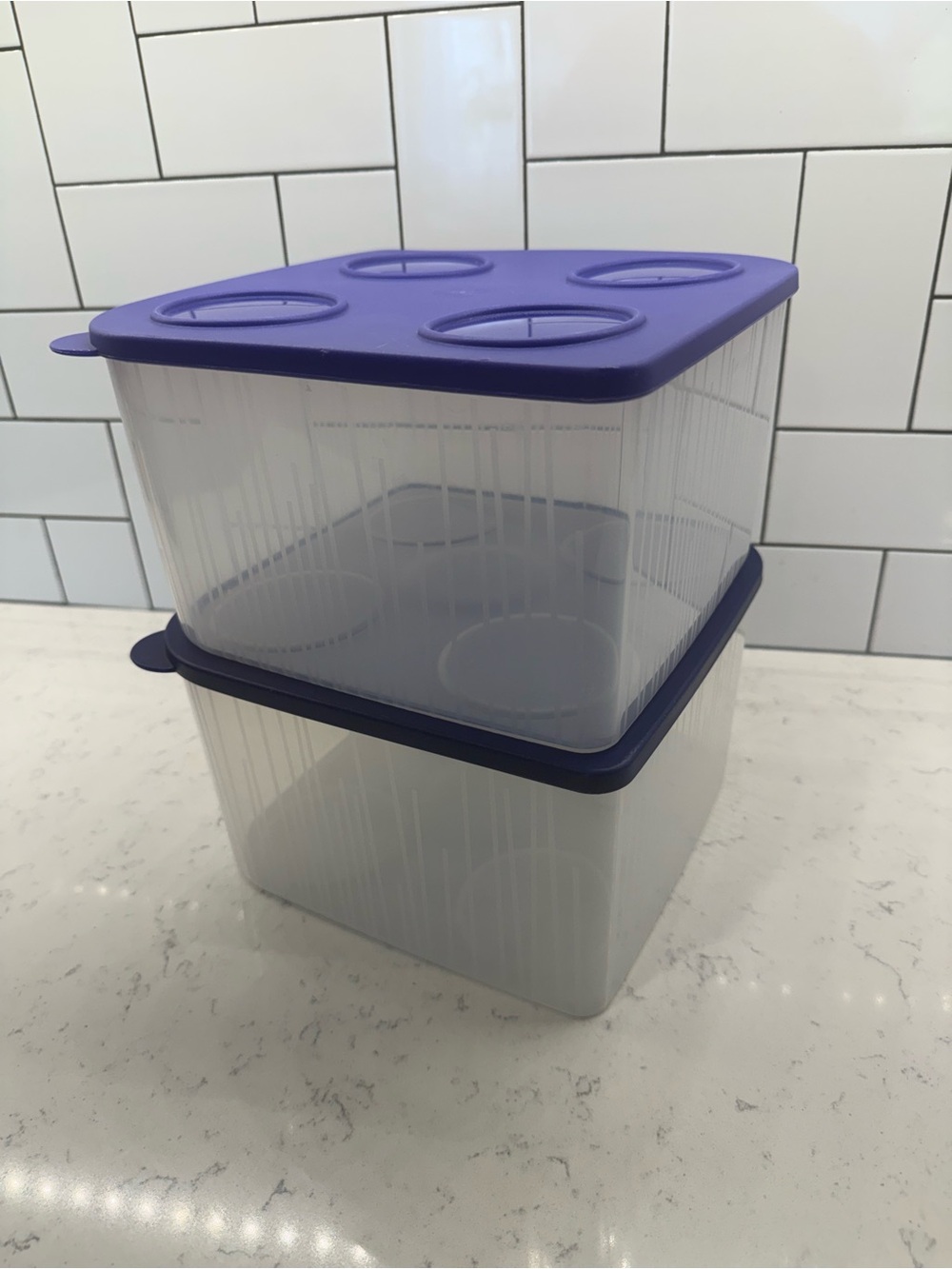 Tupperware Cool N Fresh Large SquareClear Containers with Blue Lids (Set of 2)